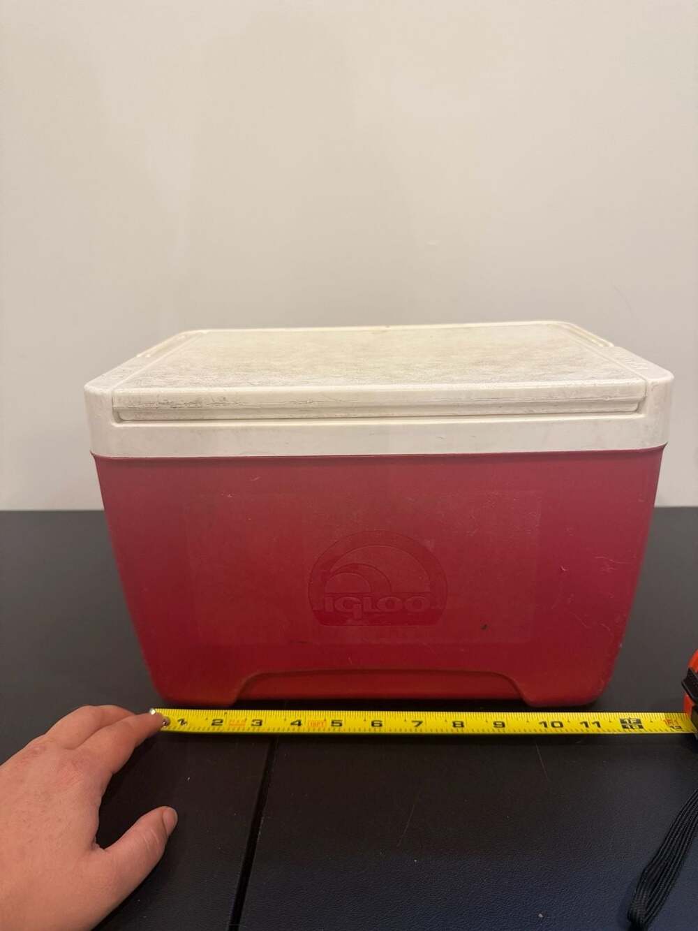Igloo Island Breeze 9-Quart Hard-Sided Personal Lunch Cooler